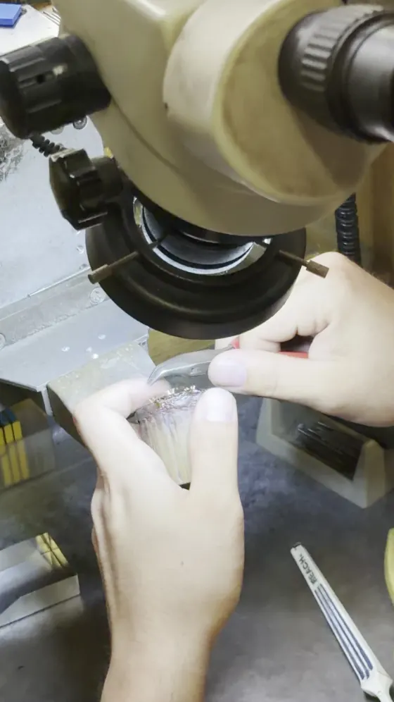 Setter working under a microscope