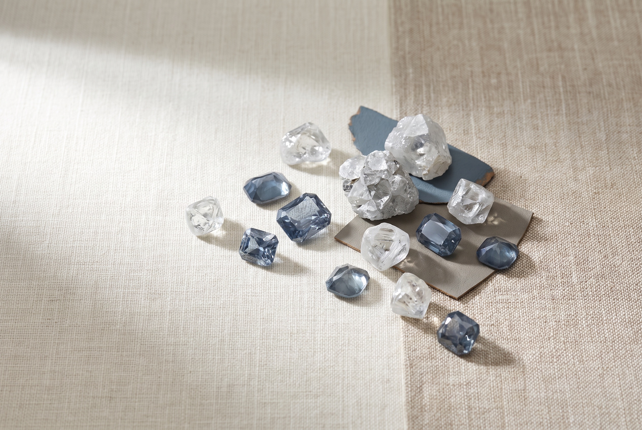 Renard Diamond Mine: What Buyers Should Know